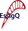 EssigQ_logo